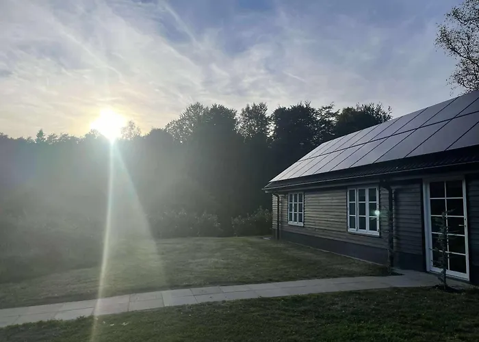 Naturperle Midt I Skoven, Ved So Og Eng